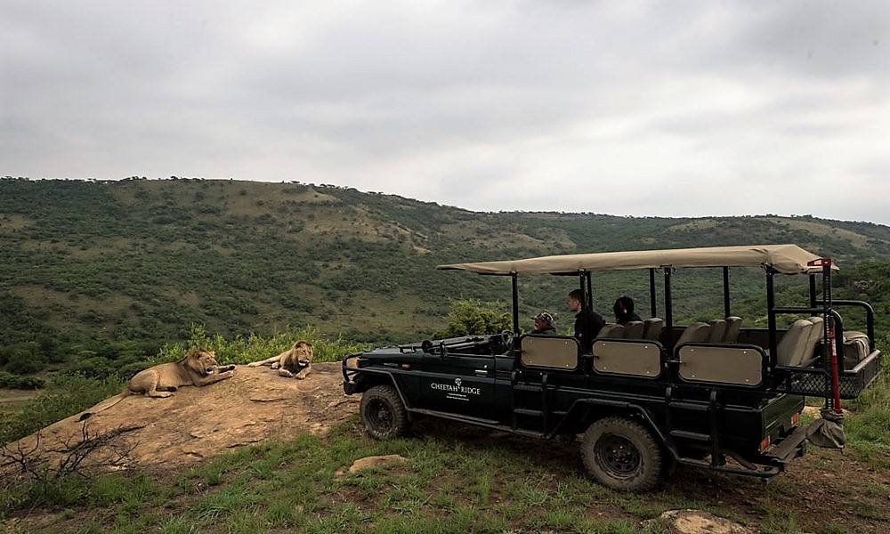 Cheetah Ridge Lodge