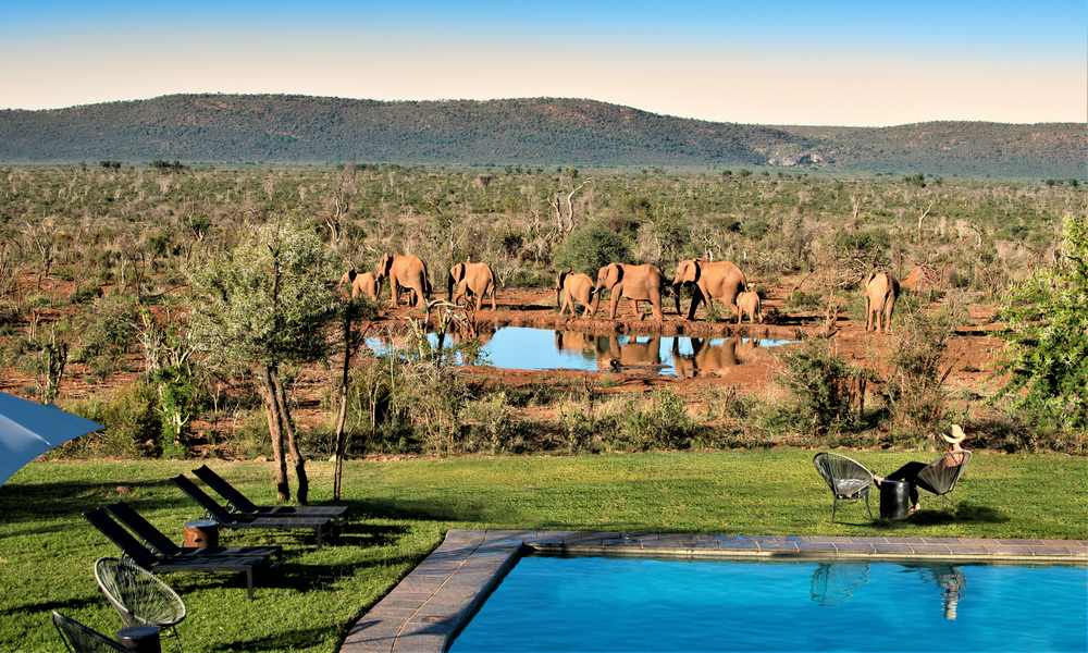 Madikwe Lelapa Lodge