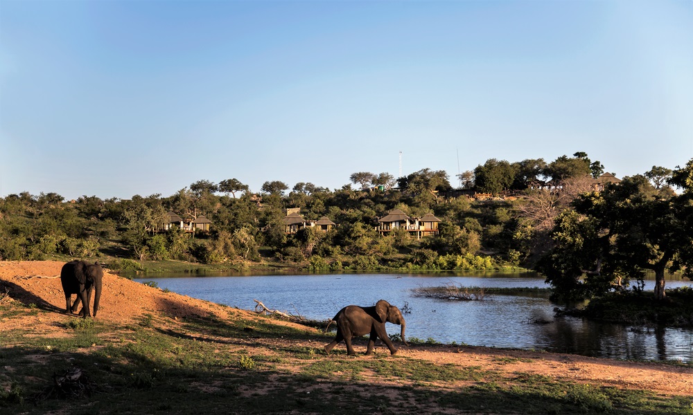 Simbavati Hill