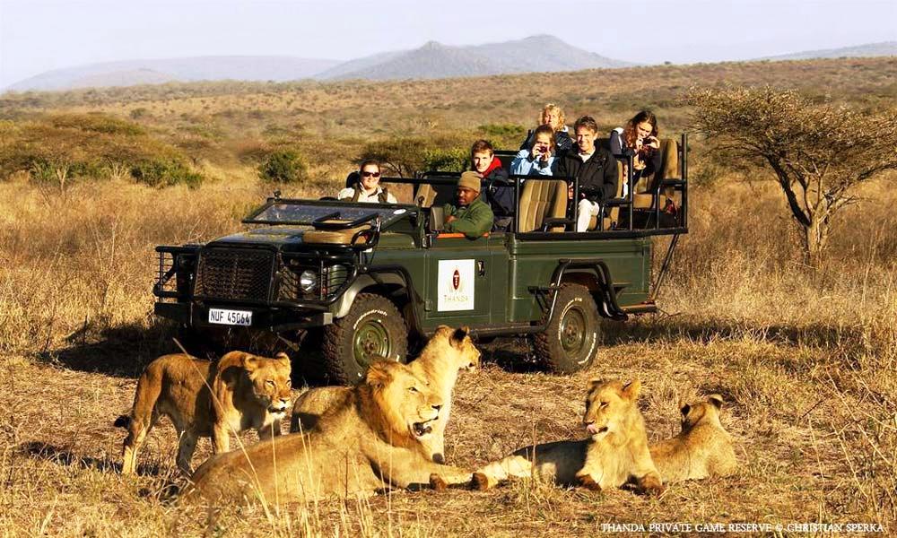 ThandaPrivateGameReserve