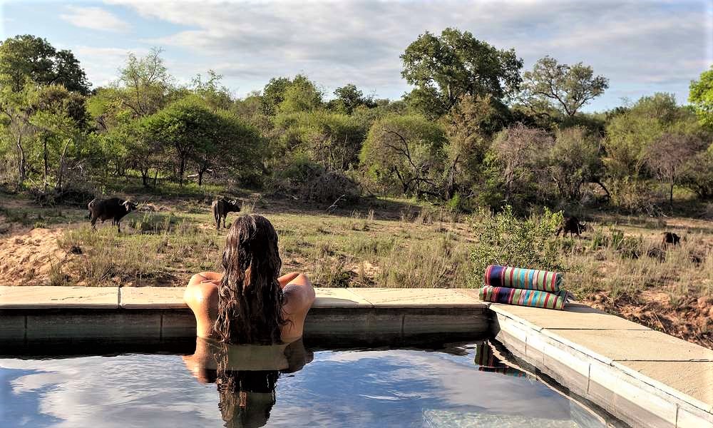 Thornybush The River Lodge