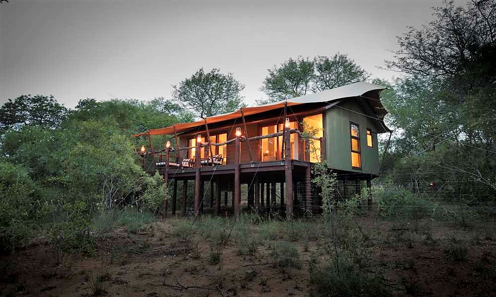kapama buffalo camp
